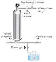 Test di diffusione